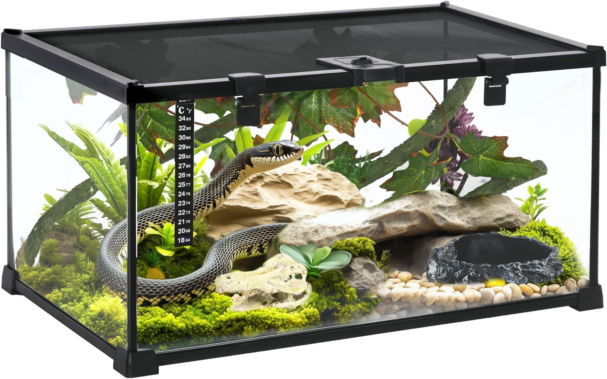 PawHut Vivarium, Terrarium, Glass Reptile Habitat w/Thermometer, Decoration, Heat for Lizards, Horned Frogs, Snakes, Spiders, 50 x 30 x 25cm