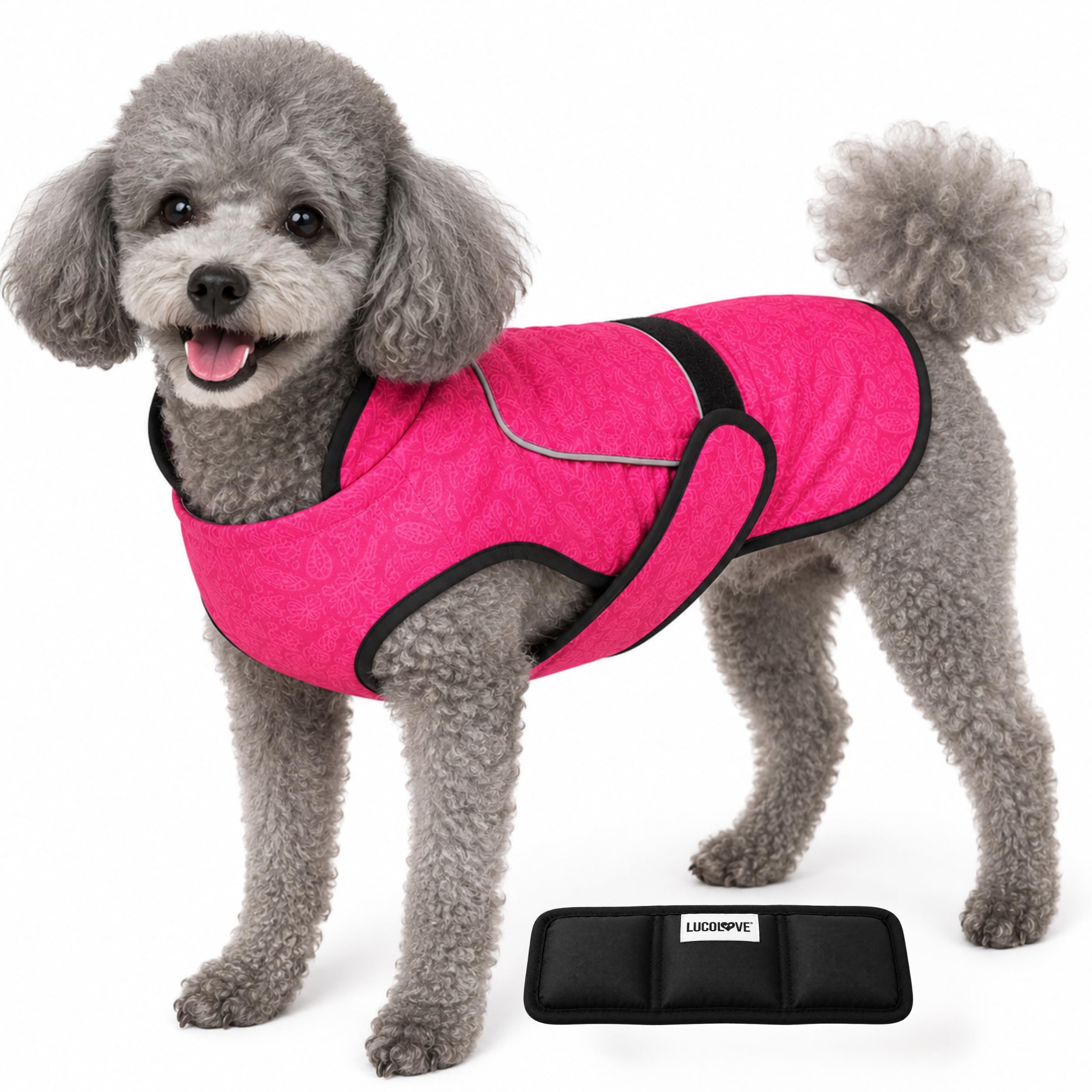 LUCOLOVE Dog Cooling Vest - apparel and accessories | Mubboo