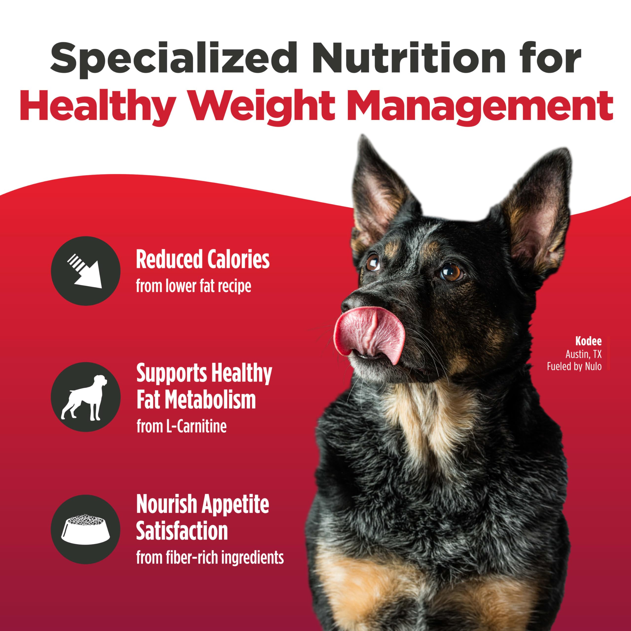 Amazon.com: Nulo FreeStyle Adult Trim Dry Dog Food - High Protein Grain  Free Dog Food for Healthy Weight Management, Natural Kibble with  Probiotics, L-Carnitine and Fiber for Small, Medium, Large Breeds, 26lb