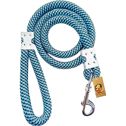 Foodie Puppies Dog Training Rope 22mm