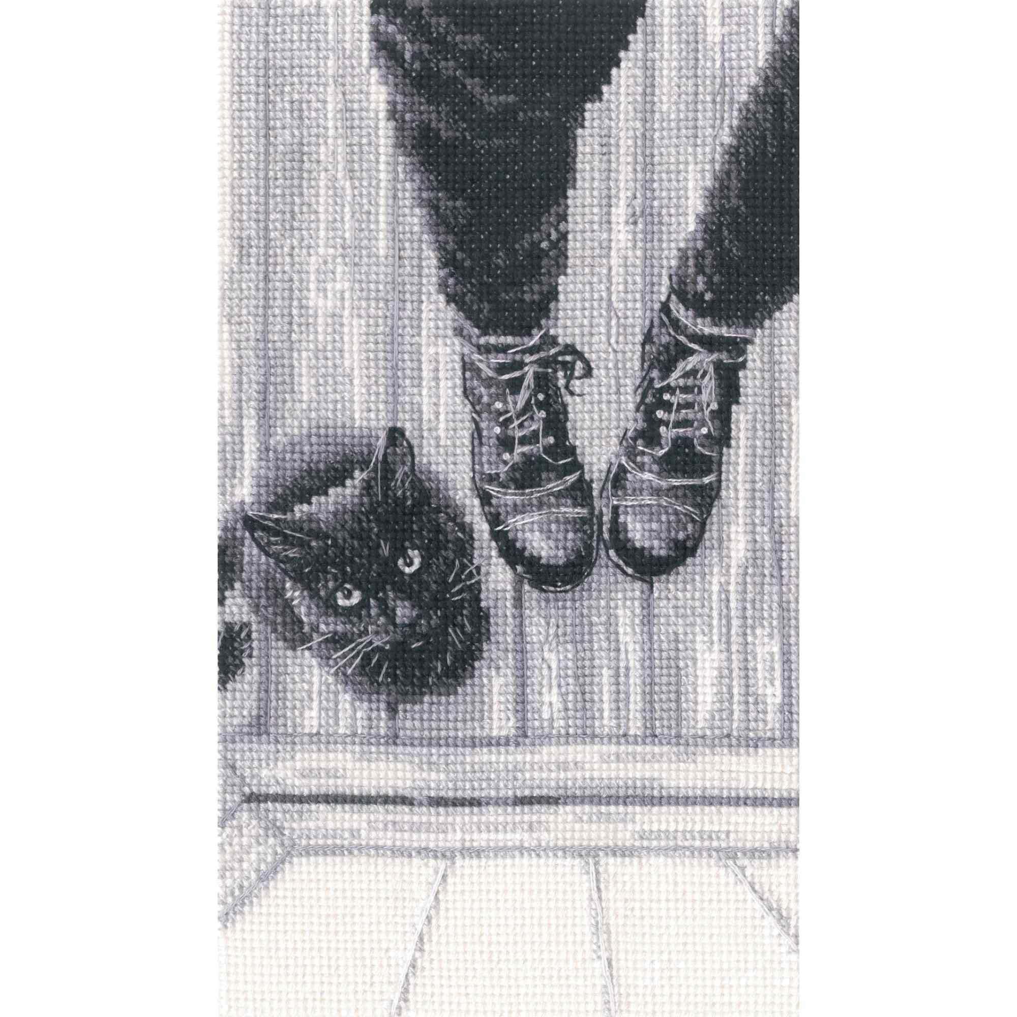 Rto Black Counted Cross Stitch Kit Cat Kitty M1035, I'm Just A Kitten, Dmc Mouline Thread, Zweigart Aida, 10,5X18,5 Cm /4.1"X7.3", Embroidery Diy Kit