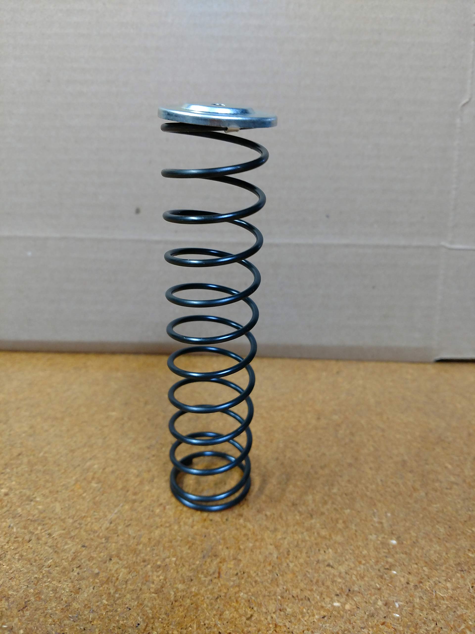 Wagner Spring Main Spring in a Master Cylinder F2981: F6431