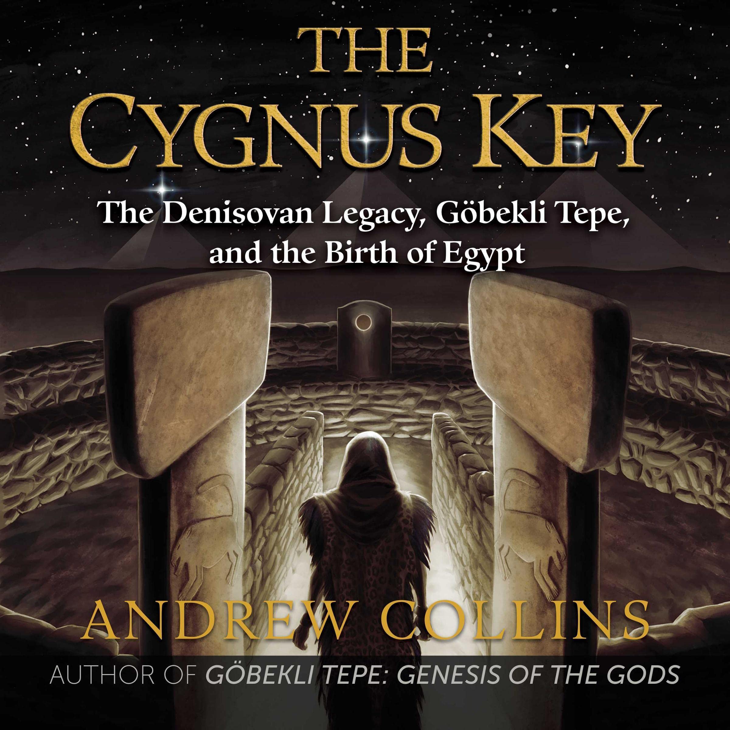 Cover art for The Cygnus Key