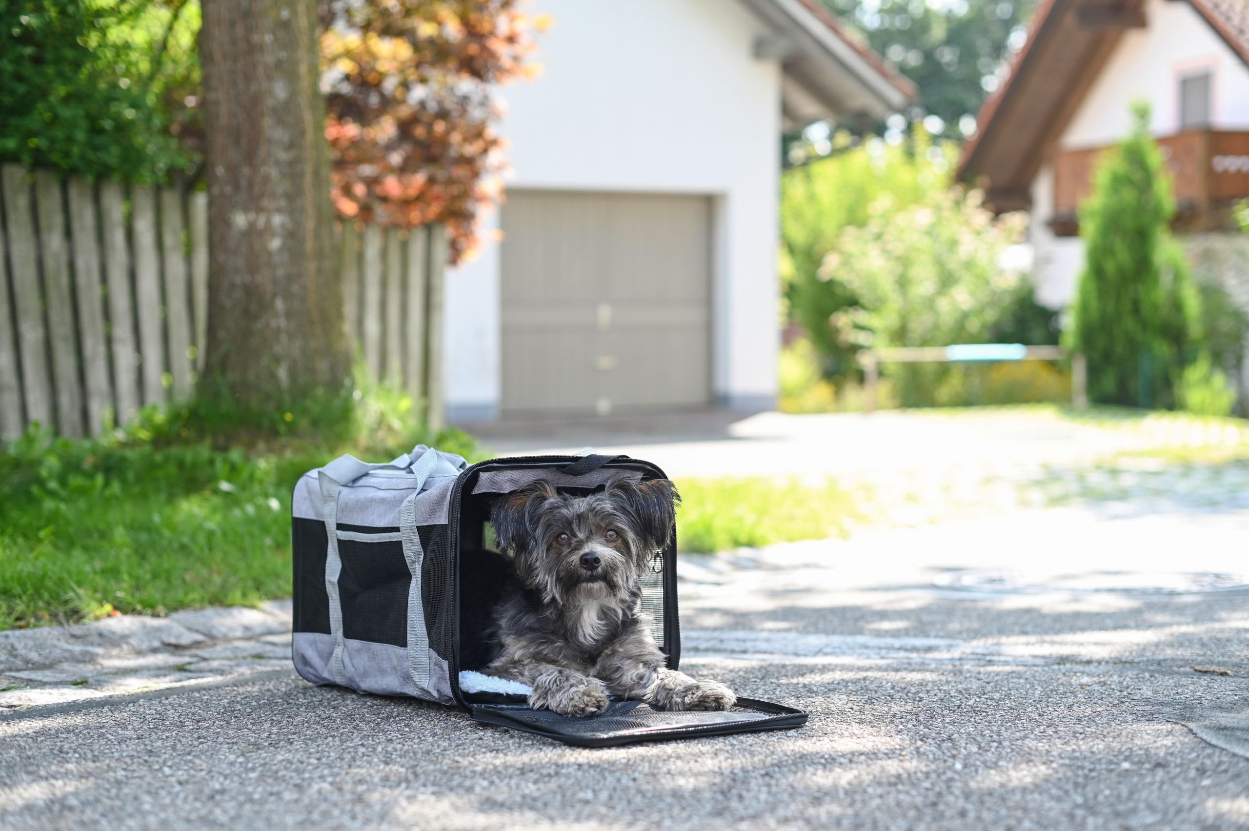 Kerbl Pet Bolsa de Transporte Casual, Bolsa para Perros, Gris, 41x28x29 cm, poliéster, para Perros pequeños, Funda Lavable, Insertos de Malla antiarañazos | Gris, 41 × 28 × 29 cm, poliéster, con funda lavable e inserciones de malla resistente a los arañaz