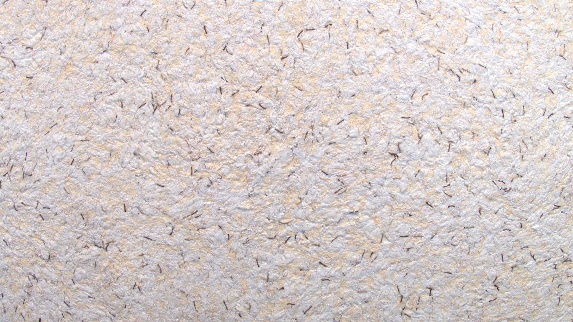 Baumwollputz Deluxe 34 - Grobe Flüssigtapete mit verschiedenen Effekten - 1kg ausreichend für ca. 4m²