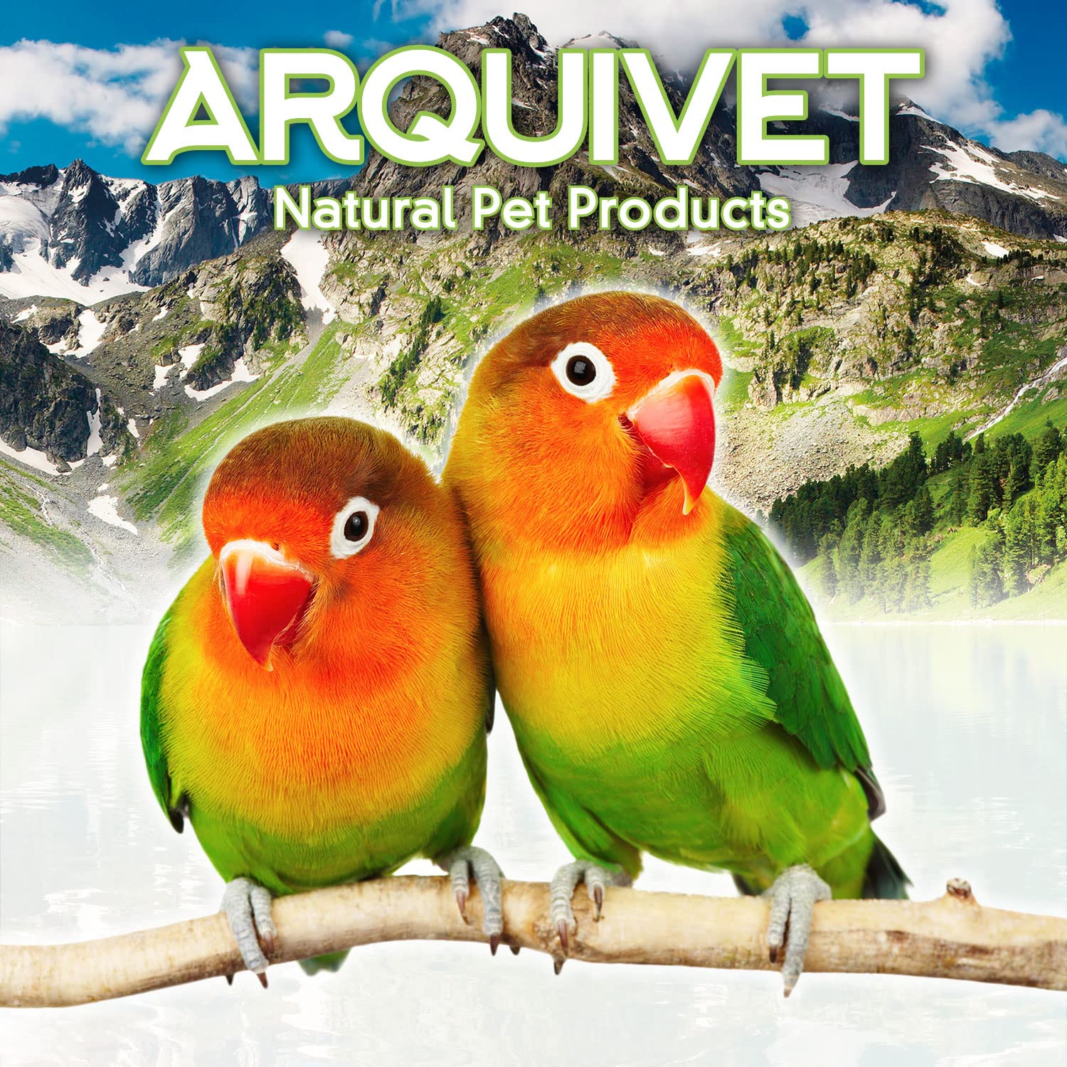 Arquivet Abbeveratoio in plastica per uccelli, 13 cm, 85 cc