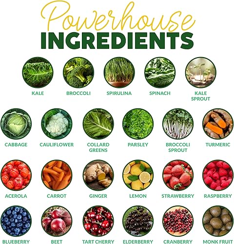 Miniatura 5 de Paleovalley Polvo orgánico Supergreens  23 superalimentos con fibra prebiótica para apoyo energético e inmunidad  Sin pastos de cereales para una