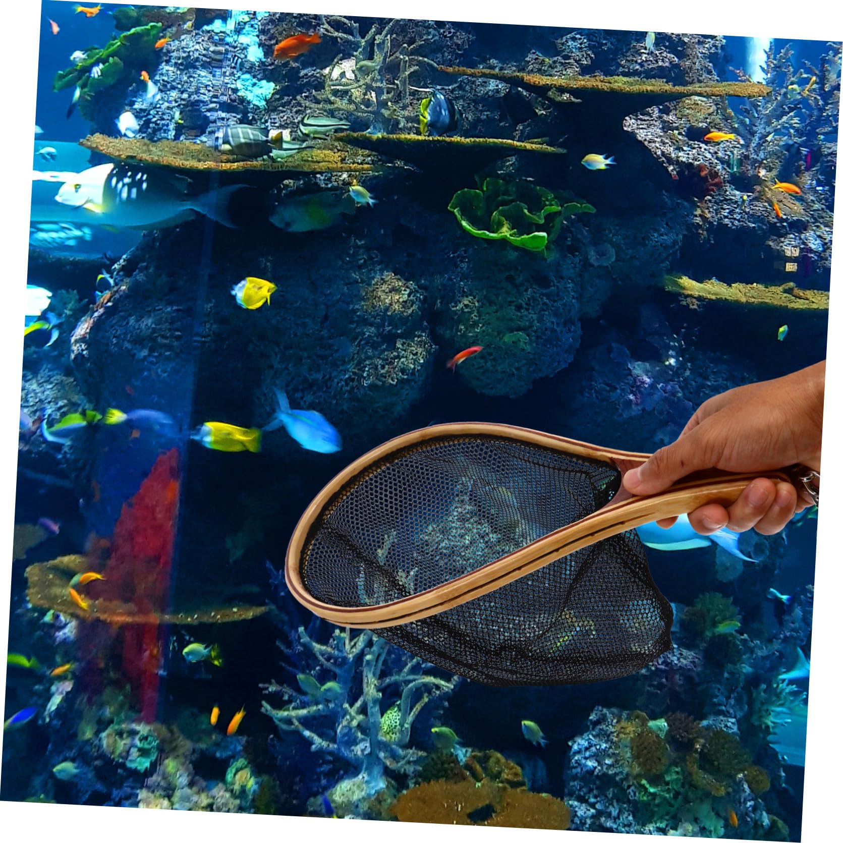 Fliegenbindestock Kescher aus Bambus mit Kompakter Bauweise und Einfachem Handling für Fischfang im Aquarium oder Zuhause Schwarz und Leicht zu Bedienen