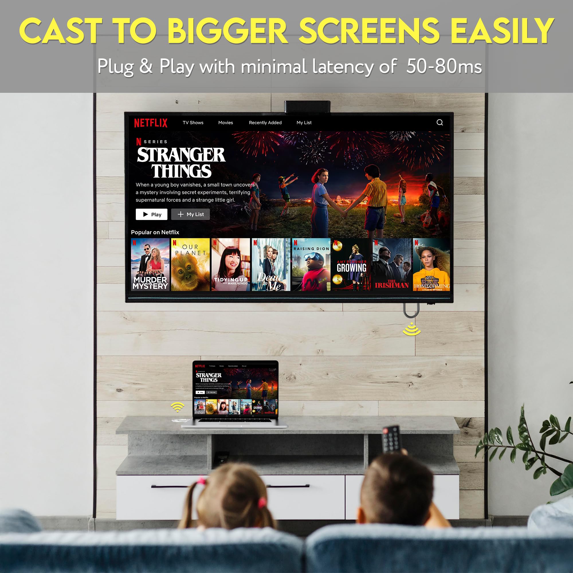 Sonecess Wireless Streaming Transmitter and Receiver