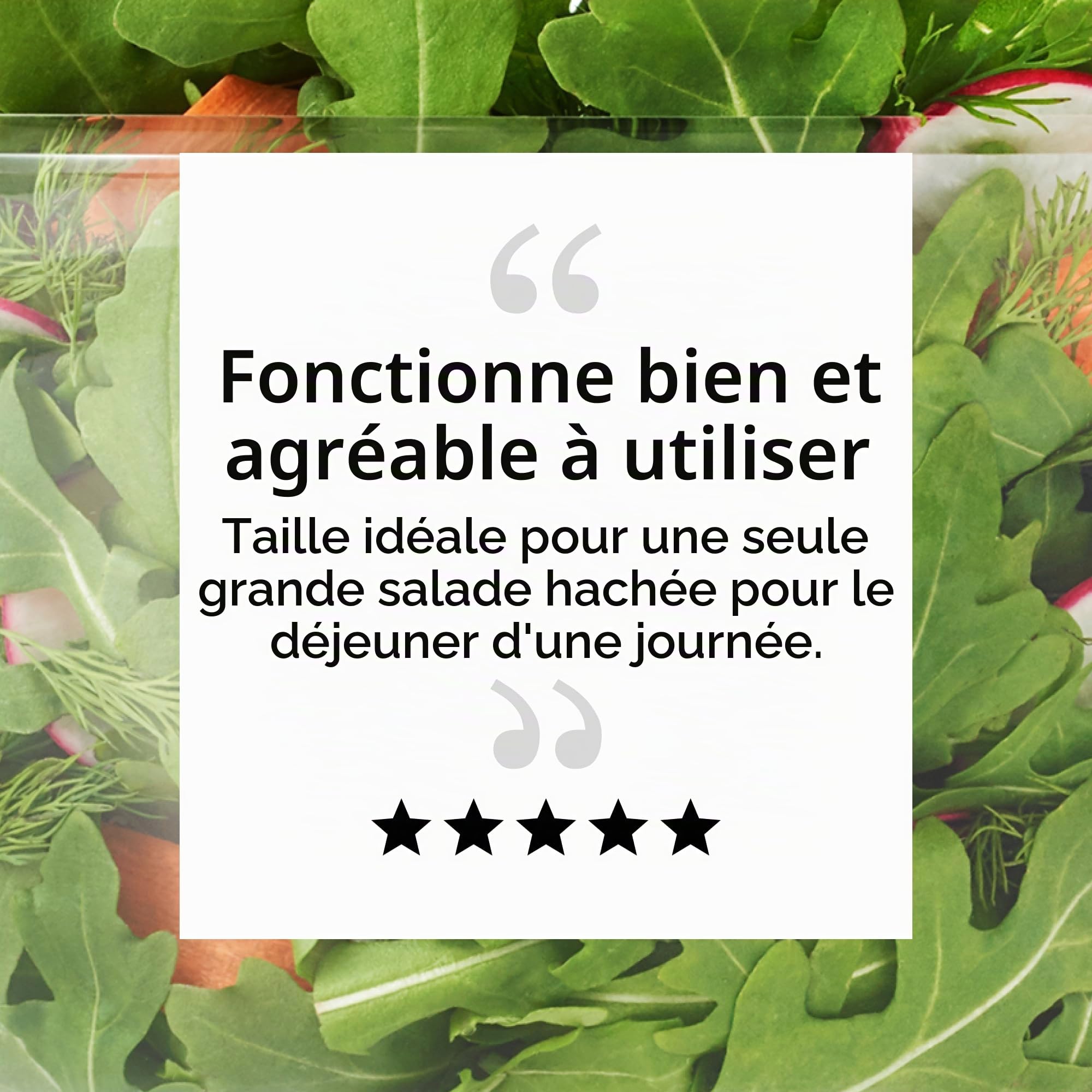 OXO Good Grips Essoreuseà salade et herbes Transparent
