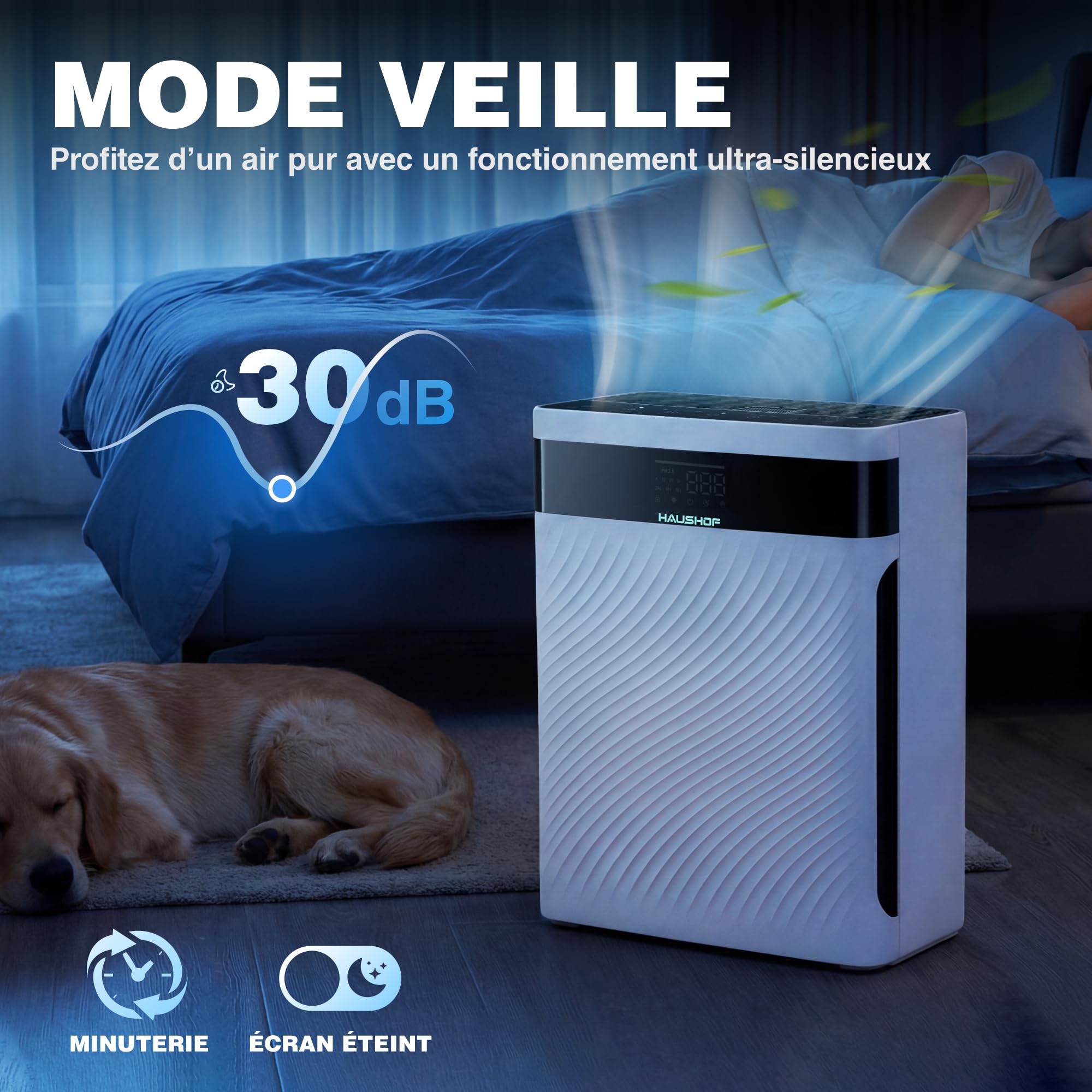 HAUSHOF Purificateur d’Air HEPA H13 CADR 250 m³/h