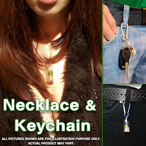 Miniatura 2 de Collar de flores de terrario para suculentas vivas  Perlas  Collar de plantas suculentas de cactus vivos, collar de plantas vivas, cápsula de