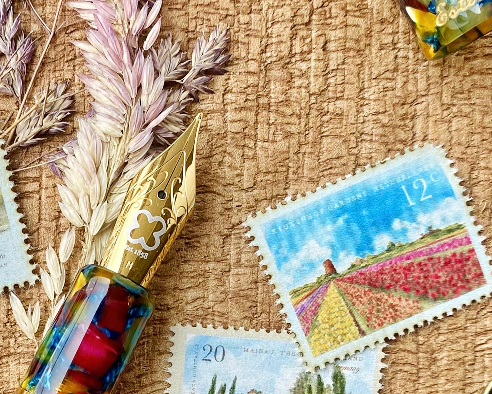 Stylo plume à piston Esterbrook Estie Botanical Garden avec bordure dorée et cartouche d'encre de 30 ml, couleur bordeaux