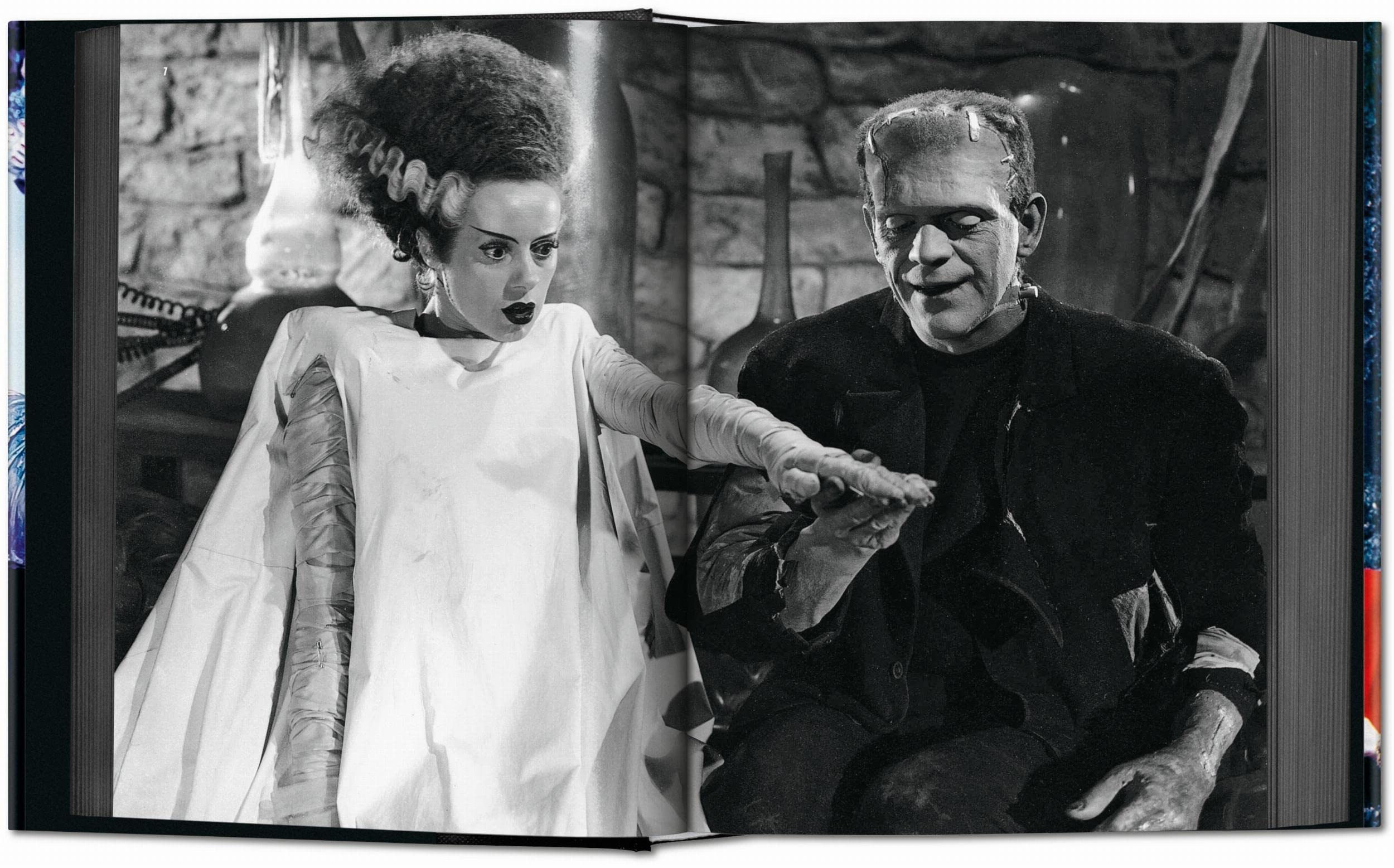 Horror Cinema: Die besten Gruselfilme aller Zeiten (Bibliotheca Universalis)