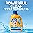 ARM & HAMMER Clean & Simple, 77 Loads Liquid Laundry Detergent, 100.5 Fl oz