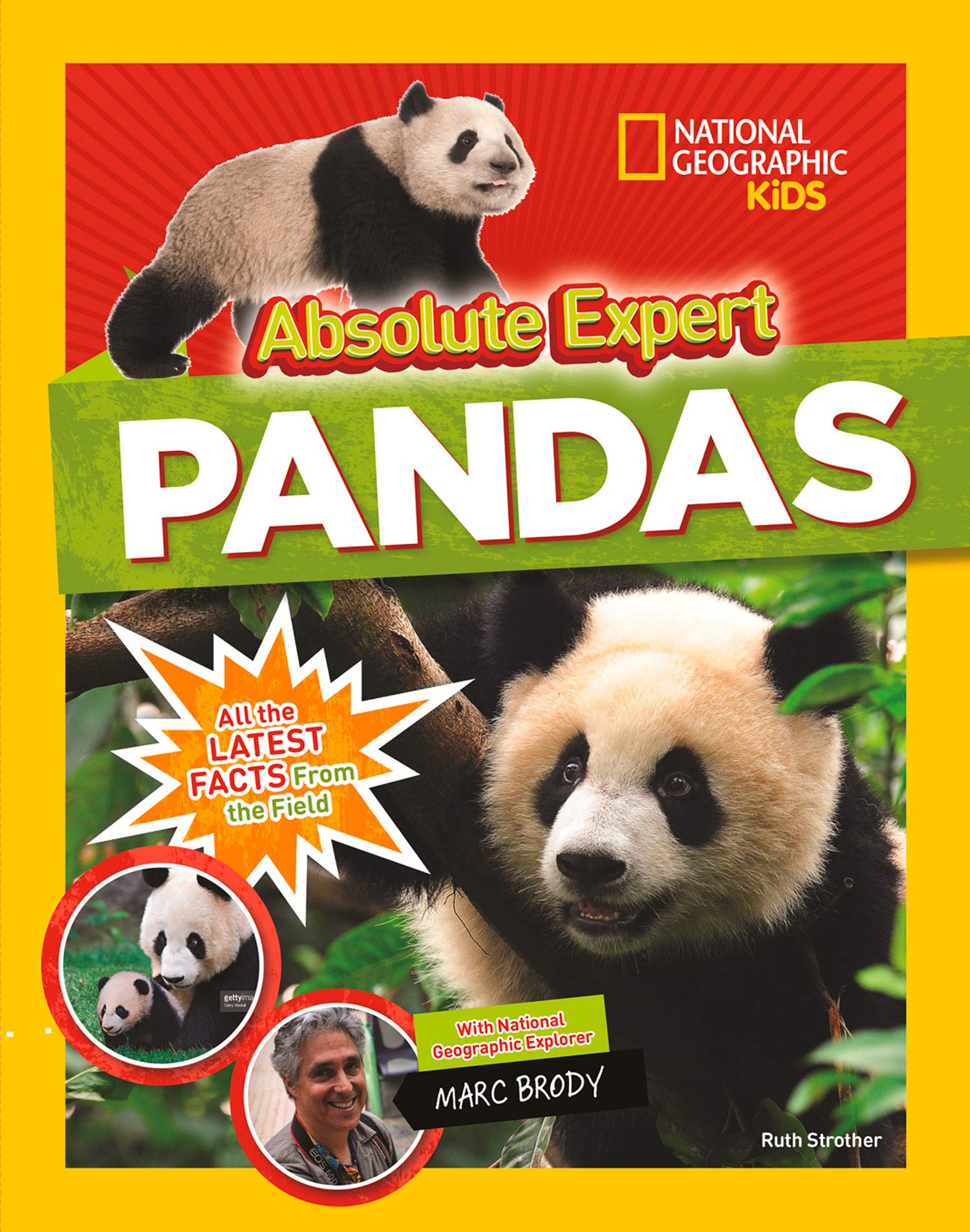 Absolute expert: Pandas: All the Latest Facts from the Field with National  Geographic Explorer Mark Brody (Animals): Amazon.co.uk: National Geographic  Kids, Strother, Ruth, Brody, Marc, Modany, Angela: 9781426334313: Books