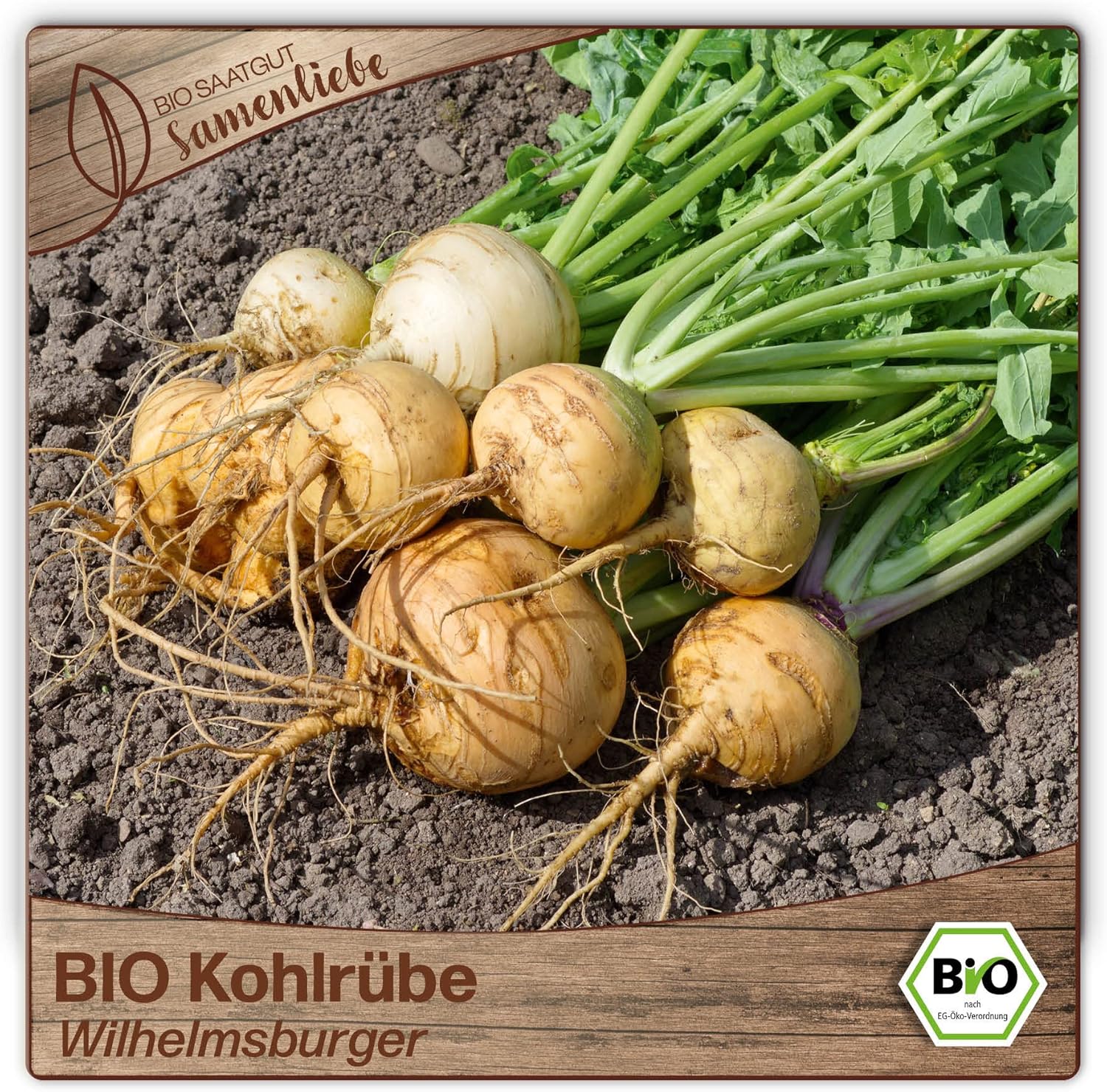 Samenliebe BIO Kohlrübe Samen alte Sorte Wilhelmsburger Steckrübe ...