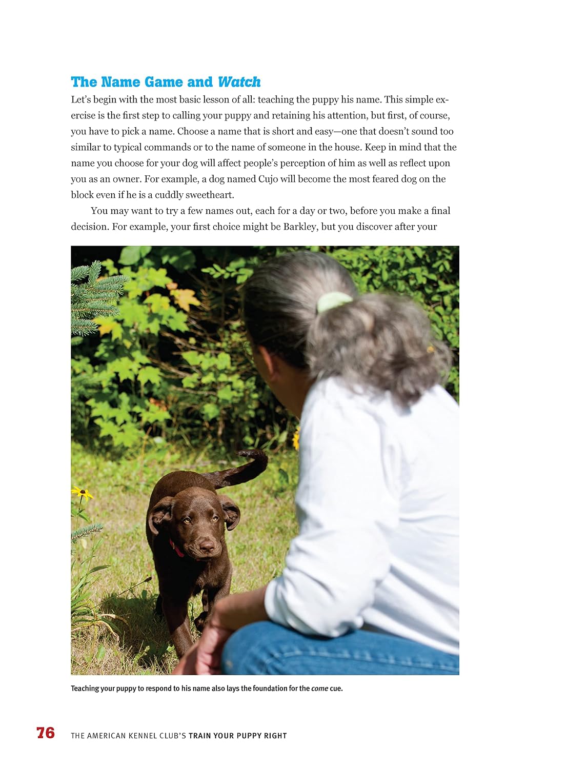 The American Kennel Club's Train Your Puppy Right (CompanionHouse Books) Welcoming a New Pup, Socialization, House-Training, Dog Training, Problem-Solving, Obedience, Activities, Sports, and More