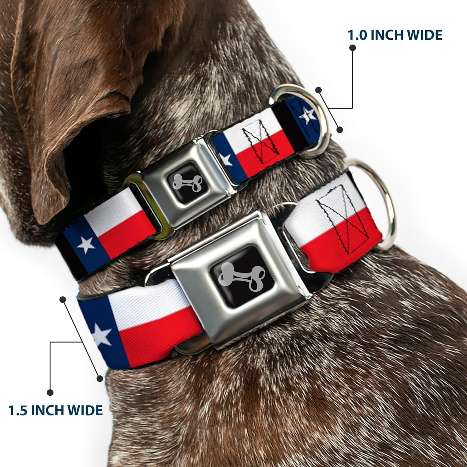 Dog Collar Seatbelt Buckle Texas Flag Black 15 to 26 Inches 1.0 Inch Wide