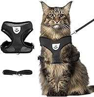 Shudyear Anti-Escape Cat Harness & Leash Set - Adjustable Breathable Mesh Chest Vest for Cats, XL Black