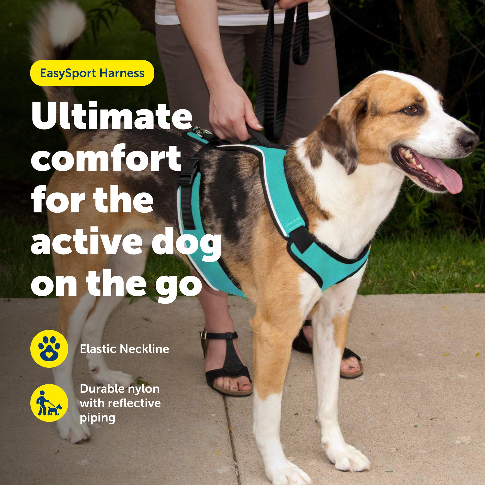 PetSafe EasySport - Arnés con correas acolchadas, totalmente ajustable, cuello elástico, ideal para perros atléticos, asa superior para control rápido, talla grande, verde azulado