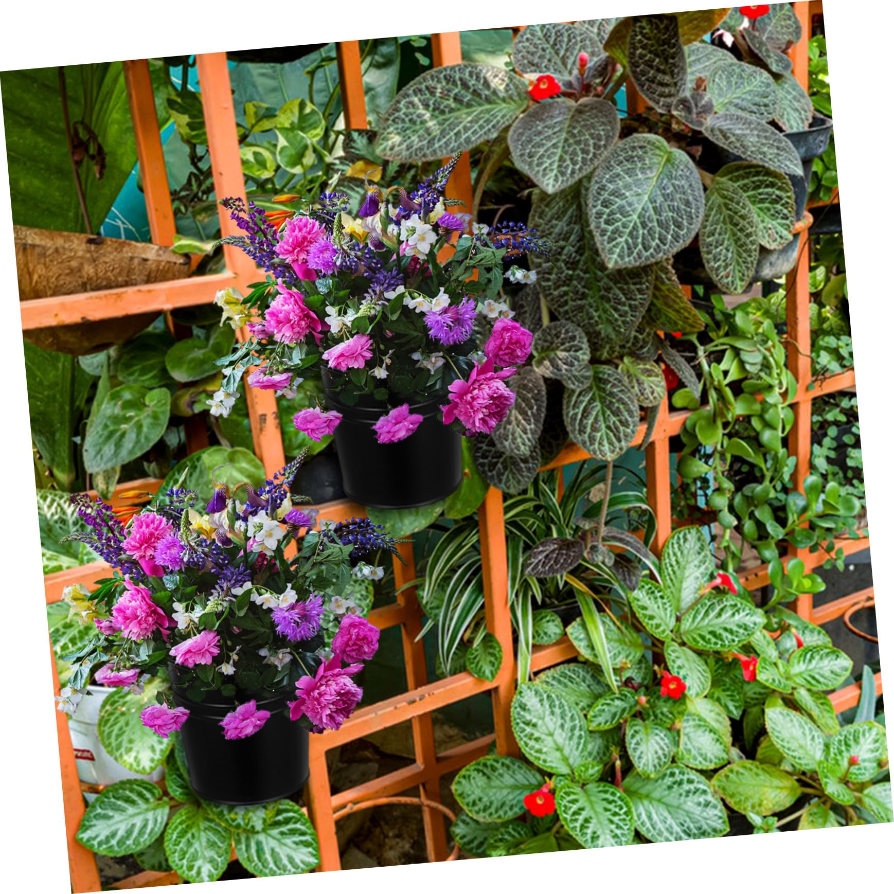 GALPADA Fioriere Sospese in Metallo per Piante da Interno ed Esterno, Set 6 Pezzi Nero Fori, Portavasi da Balcone e Patio per Decorazione Rustica e Multiuso