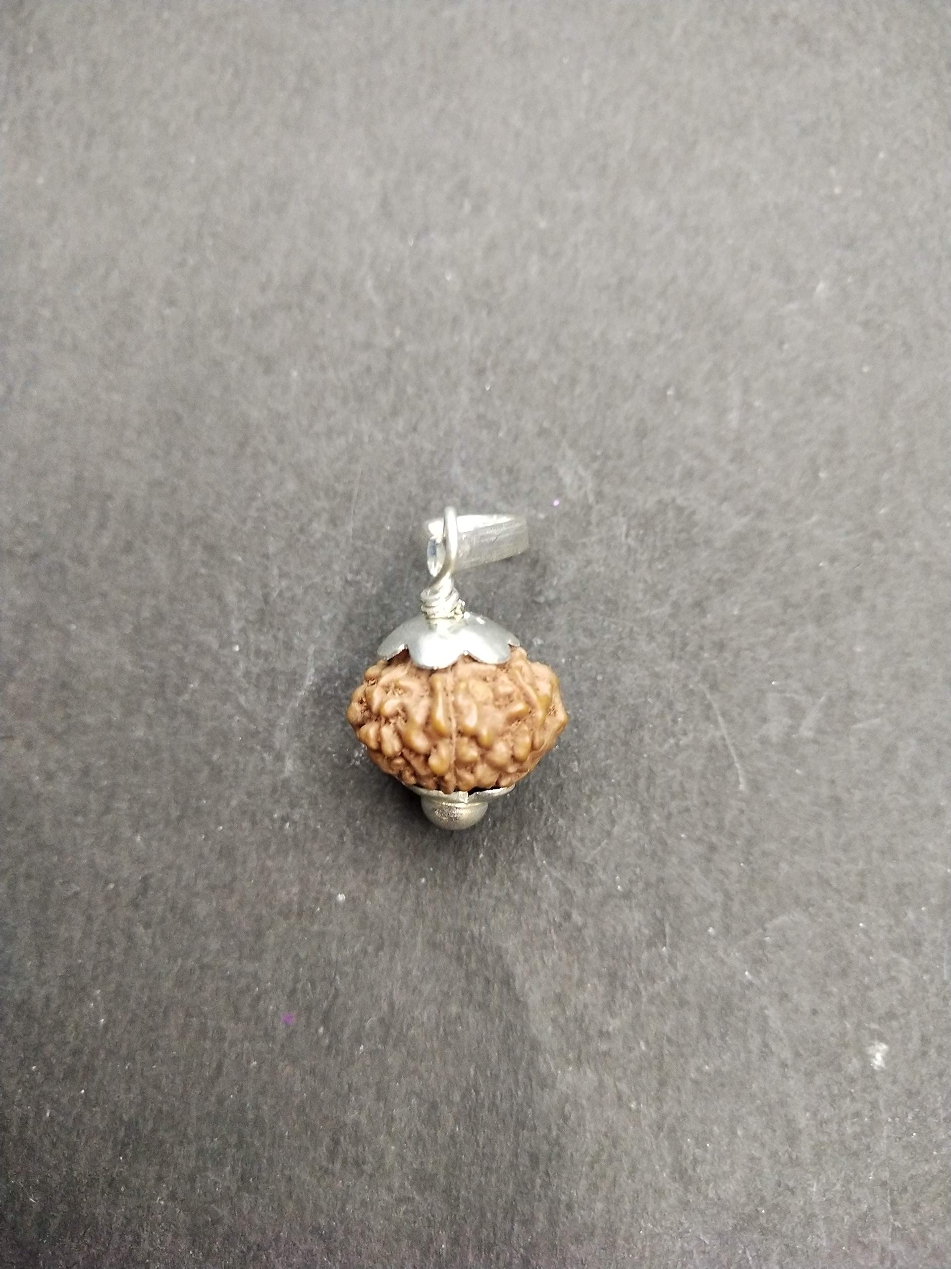 Raviour Lifestyle 9 Mukhi Rudraksha nine face Pendant 9 Faced Rudraksha Bead original Pendant for Men and Women 3