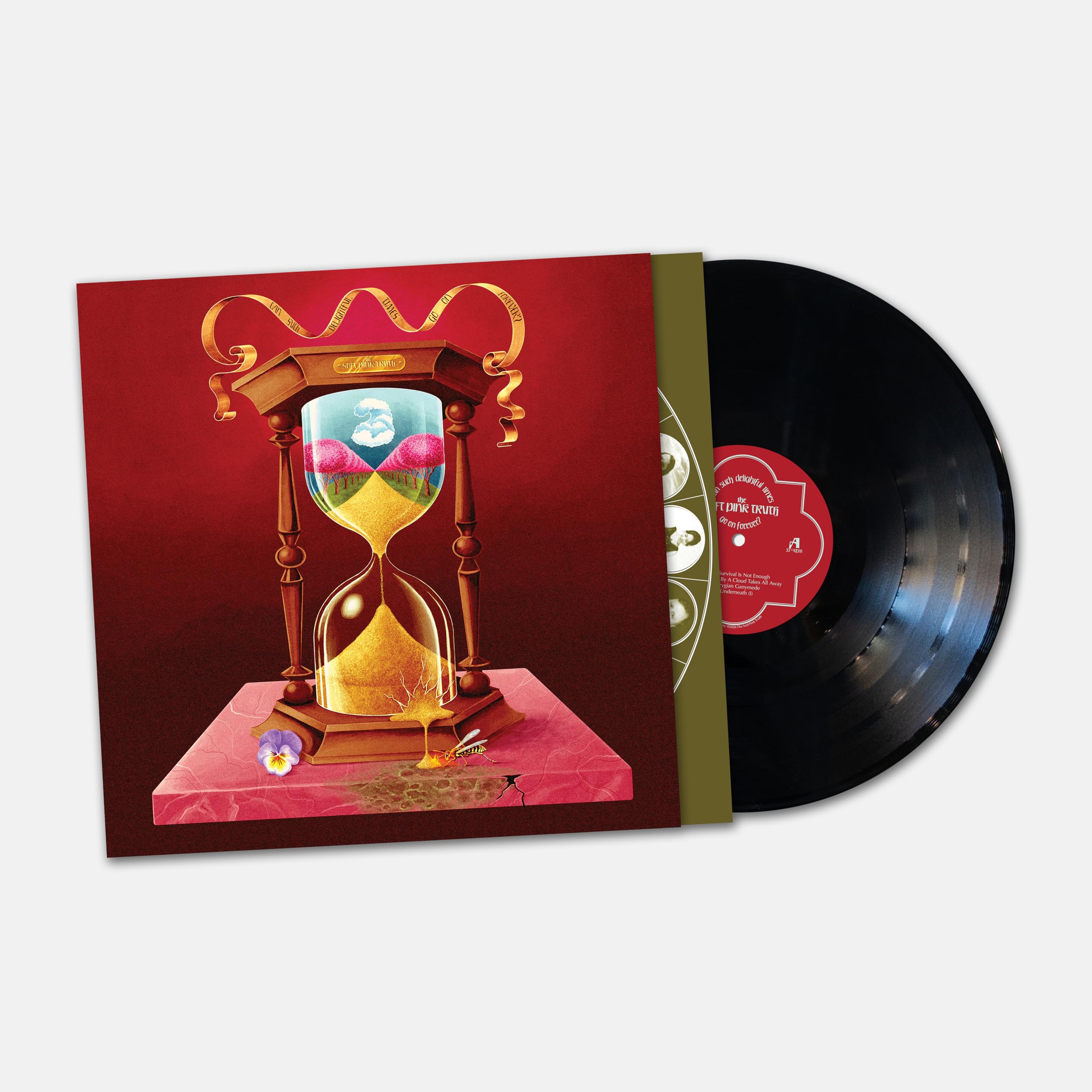 Can Such Delightful Times Go On Forever? [VINYL]