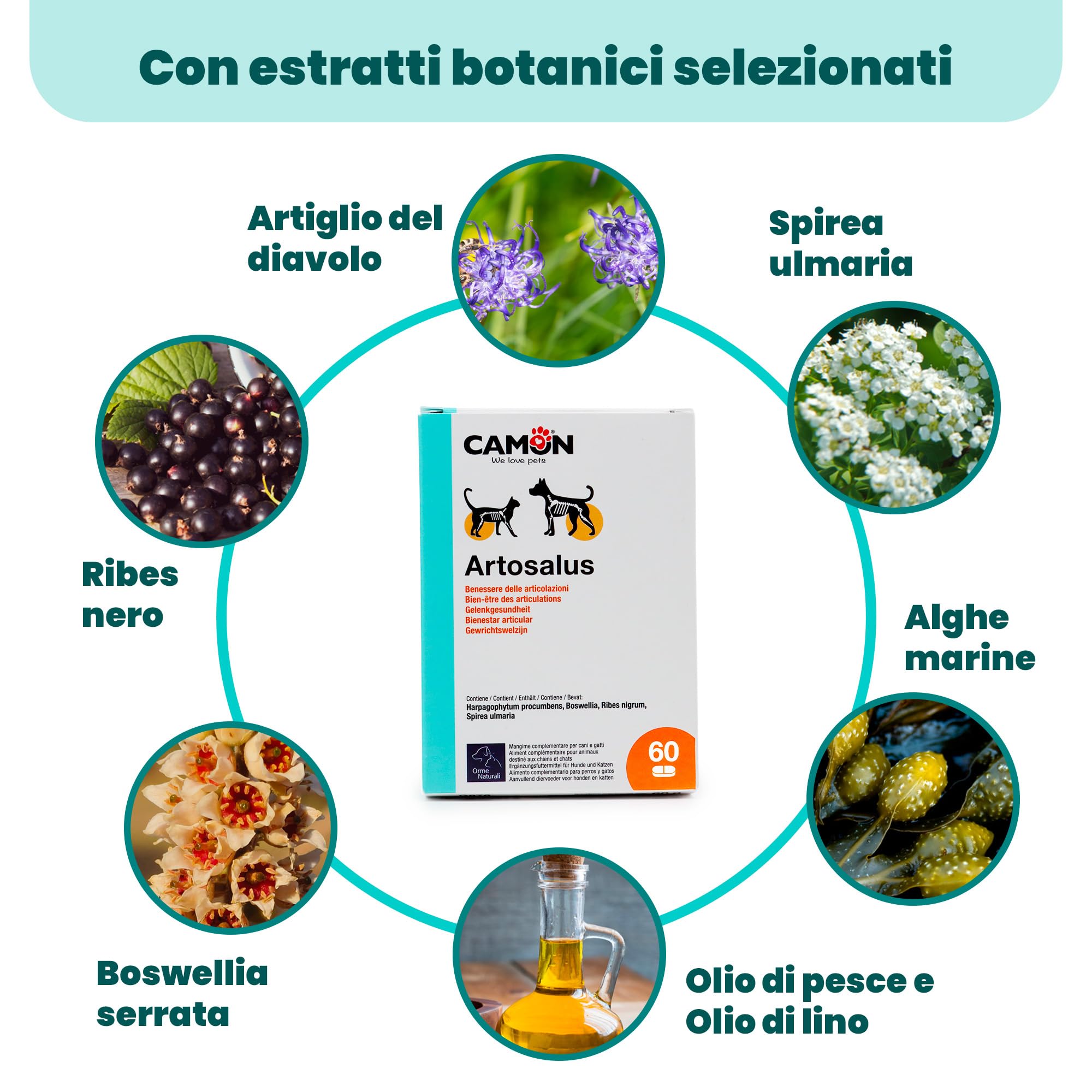 CAMON | Artosalus Compresse, Alimento Complementare per Cani e Gatti per il Supporto delle Articolazioni, 60 cpr