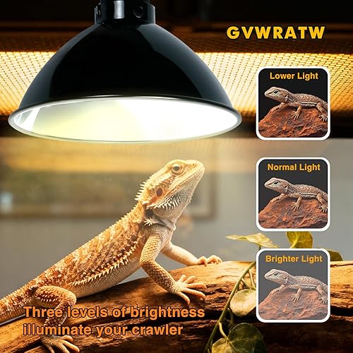 8.5-inch Standard Lamp Dome for Reptile Heating Lamps — packaging and what arrives in the box