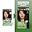 Clairol Natural Instincts Demi-Permanent Hair Dye, 4R Dark Auburn Hair Color, Pack of 1