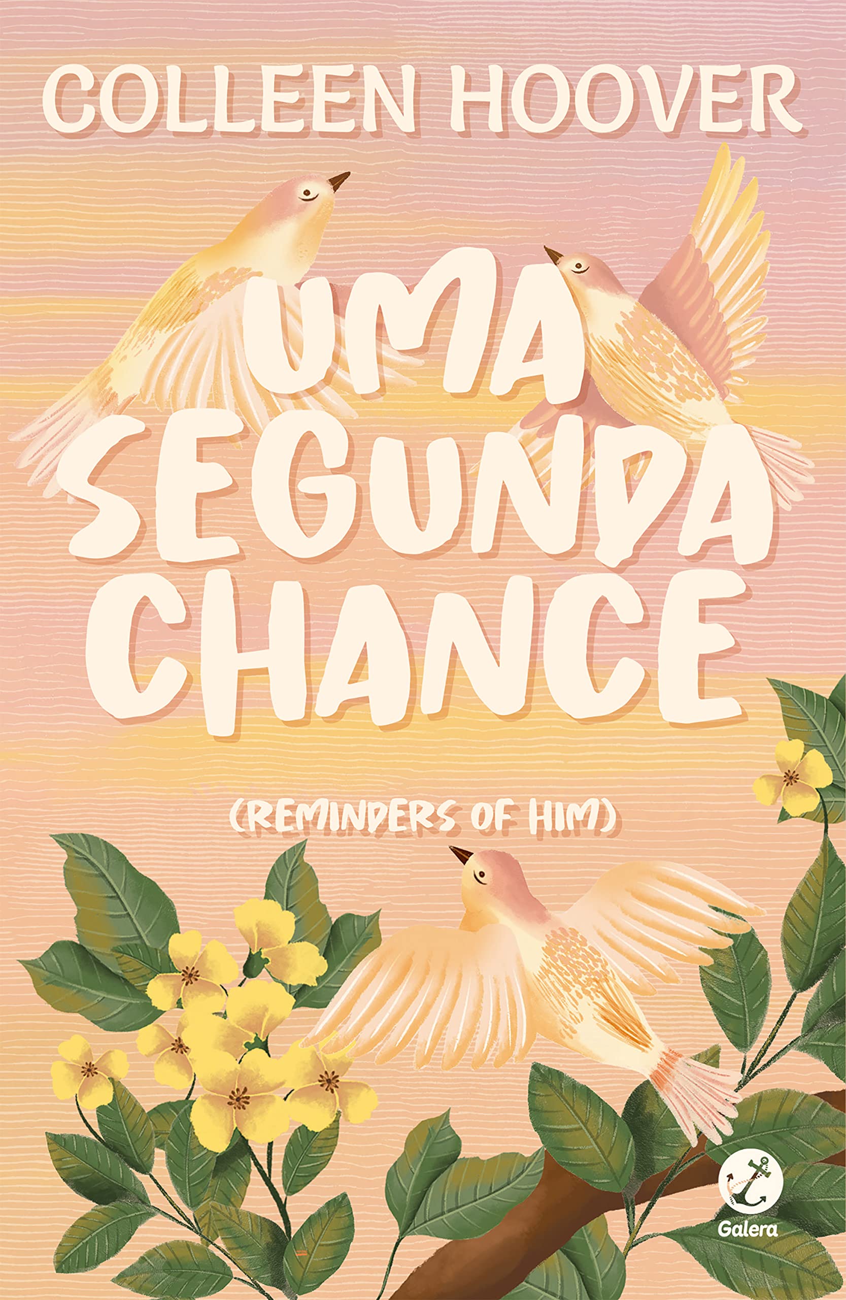 Uma segunda chance (Portuguese Edition)