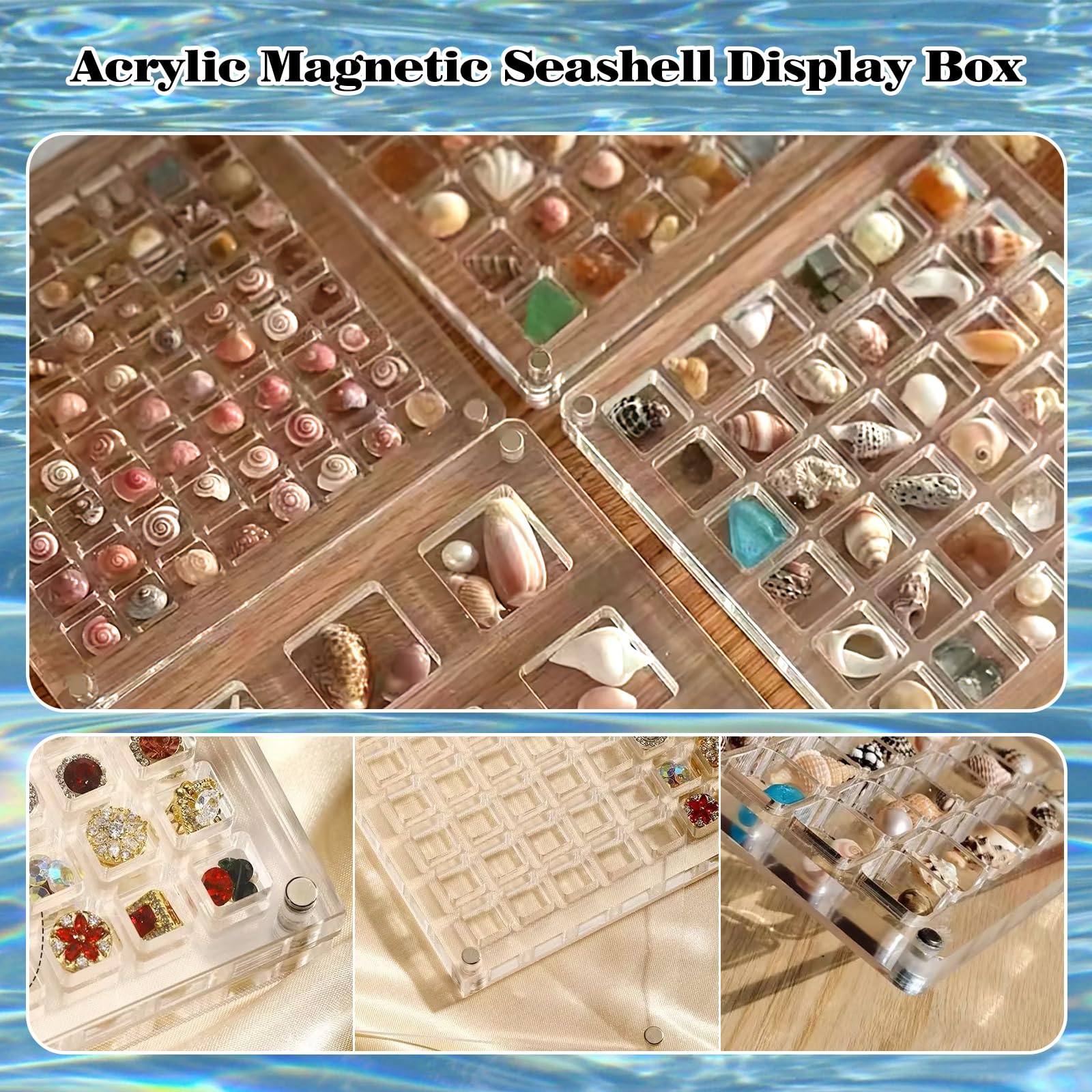 Snapklik.com : Acrylic Magnetic Seashell Display Box, Advantageouse ...