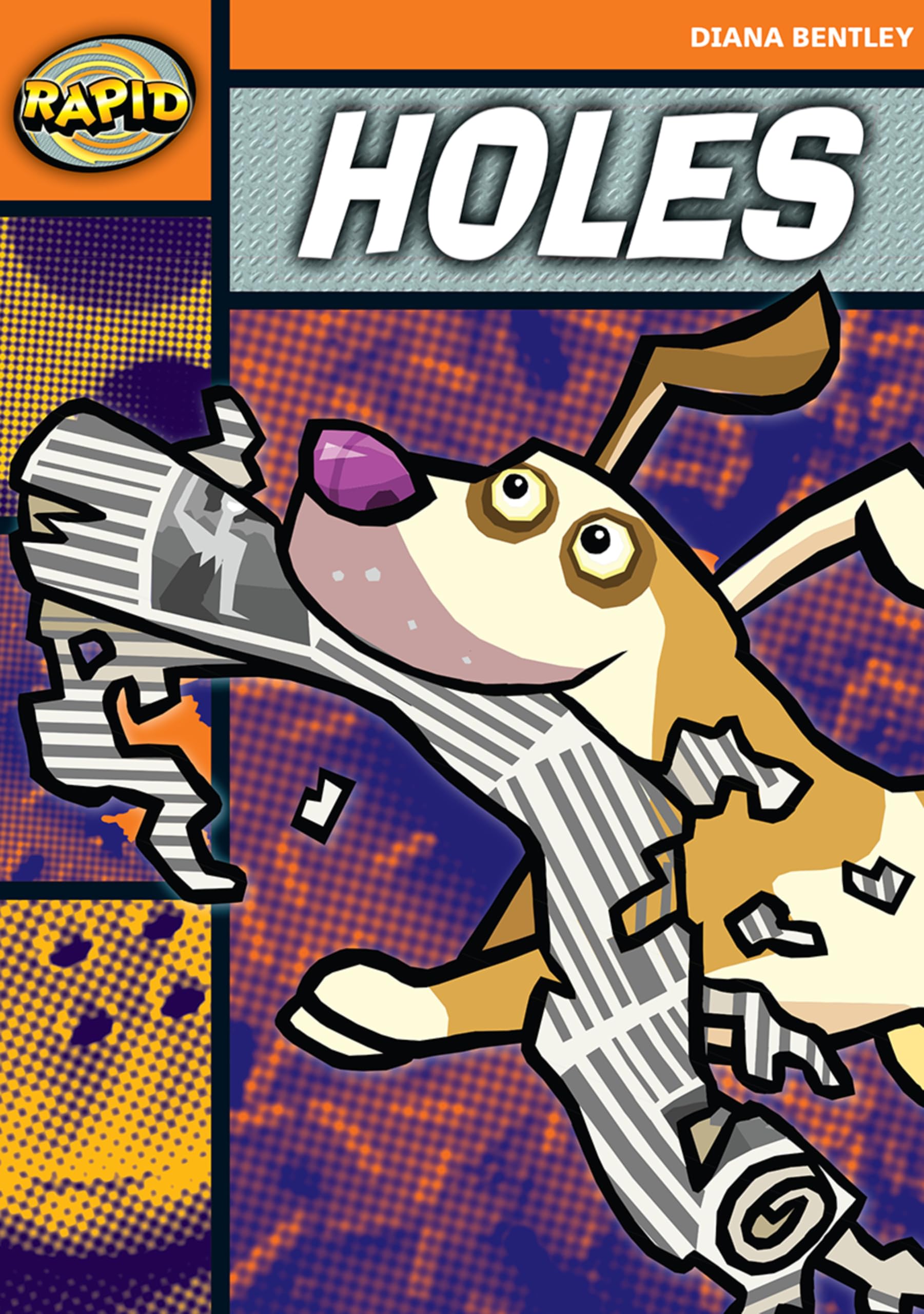 Rapid Reading: Holes (Starter Level 2A): Holes