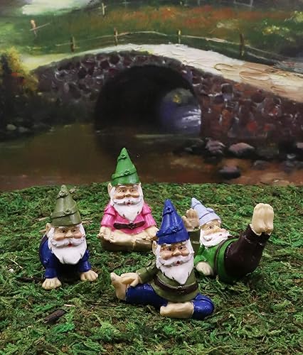 Miniatura 9 de Ebros - Juego de 4 figuras en miniatura pequeñas de gnomos de hadas, diseño de hadas, para manualidades, colección de fantasía, decoración del hogar