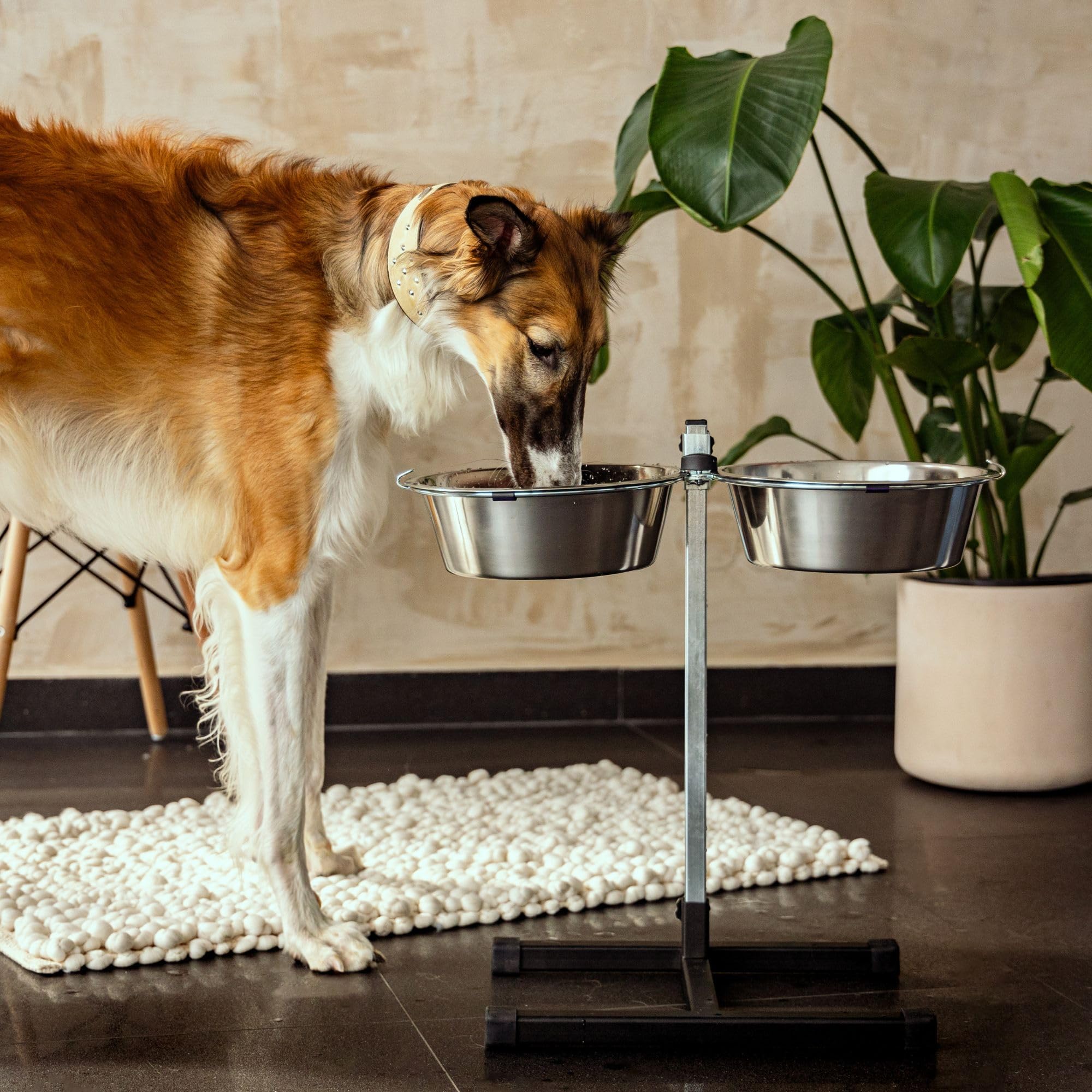 Dingo 17121 - Juego de 2 cuencos para perros en un soporte ajustable, 2 cuencos para perros de 2,83 l