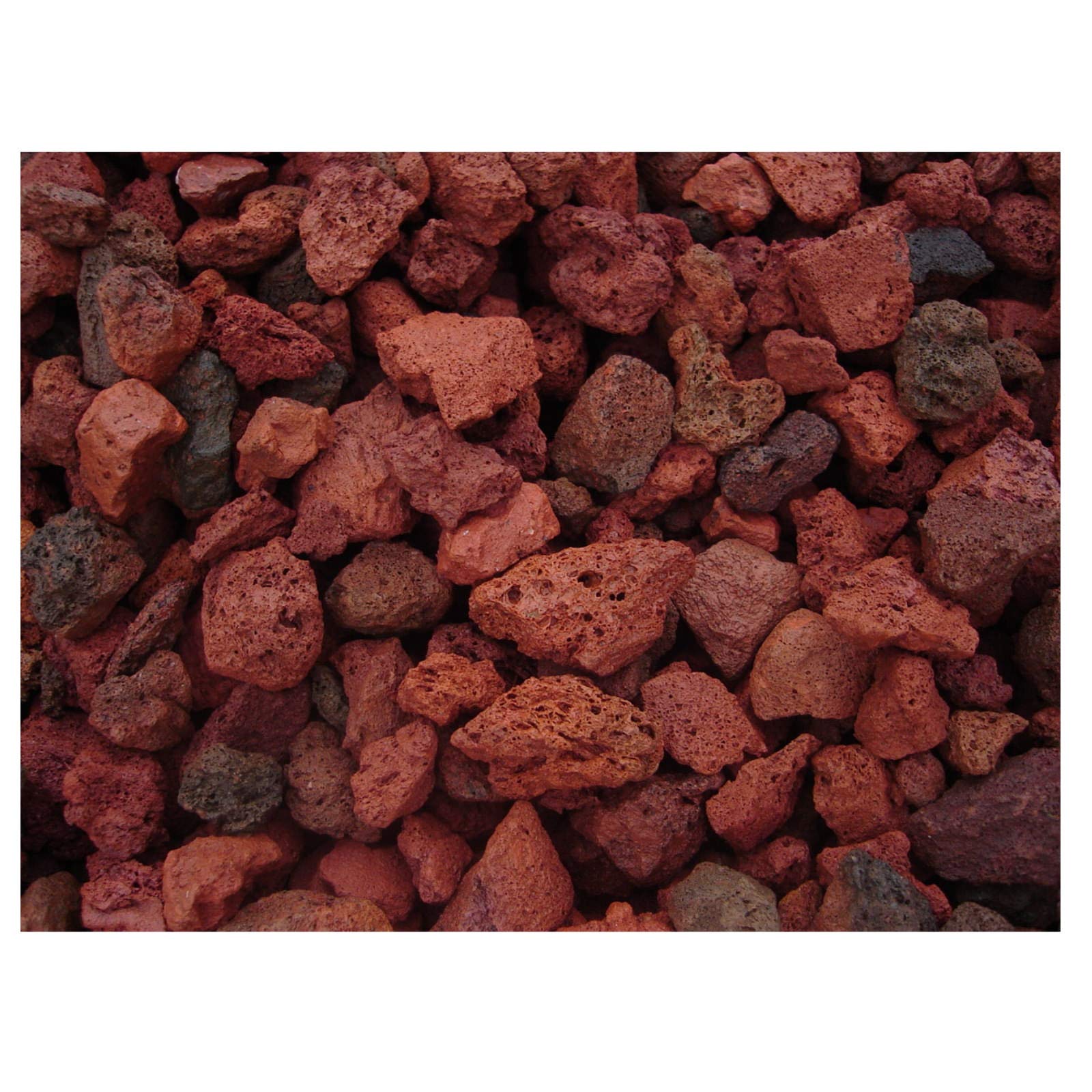 See full amazon price history chart for STMM Big Size 100% Natural Lava Rocks for Garden Landscaping Plants Red Colour (2 to 3 inch) (2 kg) STMM Big Size 100% Natural Lava Rocks for Garden Landscaping Plants Red Colour (2 to 3 inch) (2 kg) (B08MB1D9NT) Amazon Price History, Amazon Price Tracker
