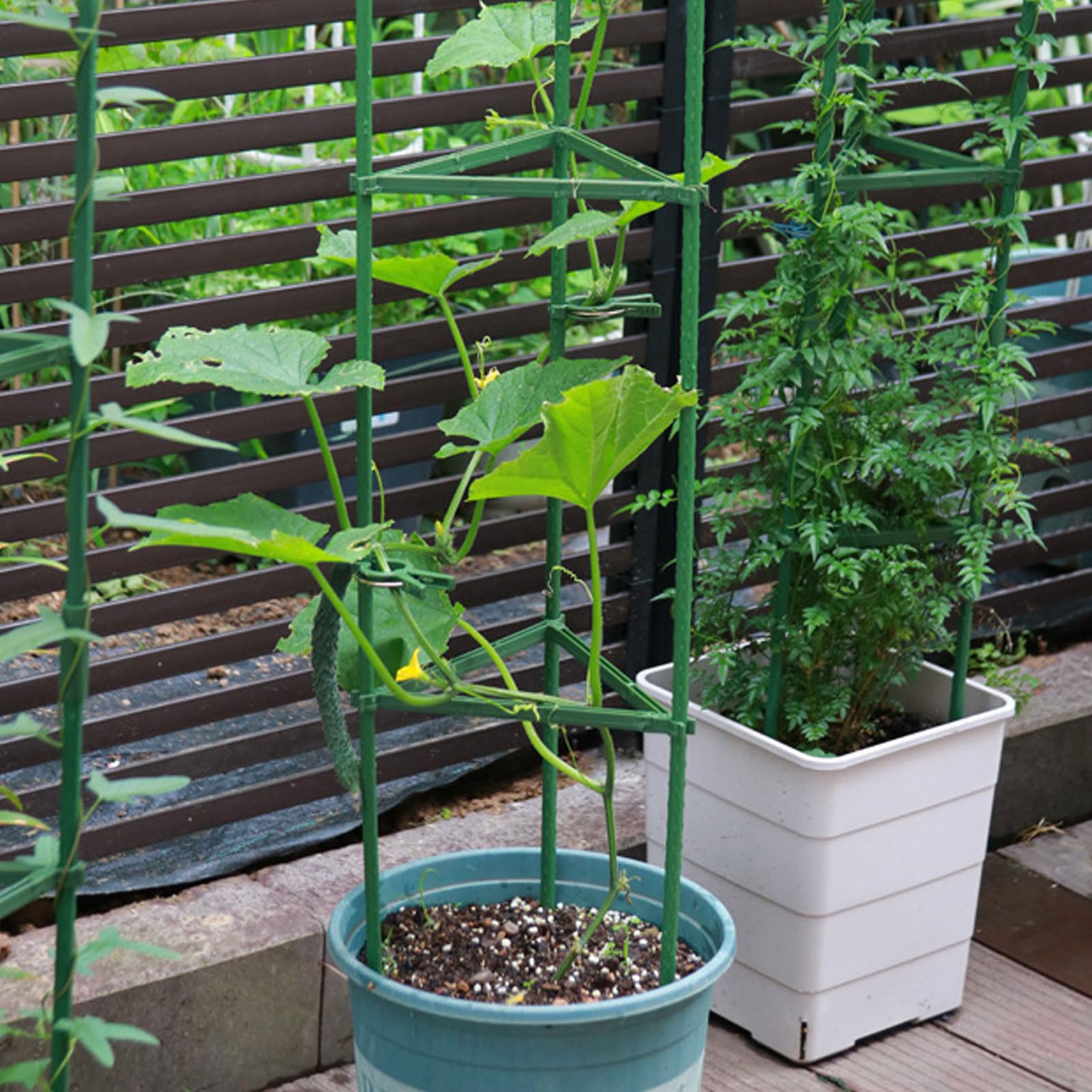 Gabbia per Pomodori Supporto Robusto e Stabile per Piante da