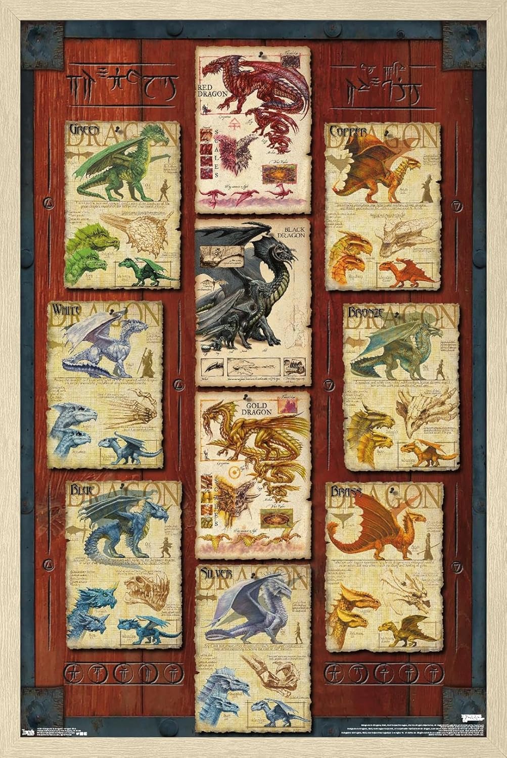 Trends International Dungeons and Dragons - Dragon Grid Wall Poster, 34L x 22.4W, Premium Unframed Version