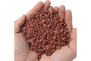 Lava Rocks Pebbles - Red Oasis for Your Plants