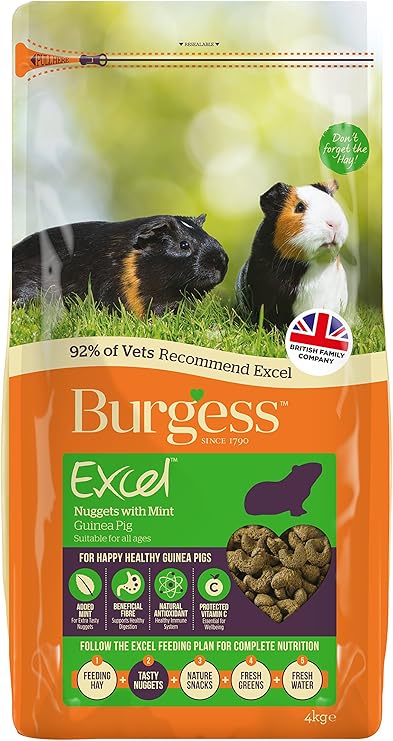 burgess excel
