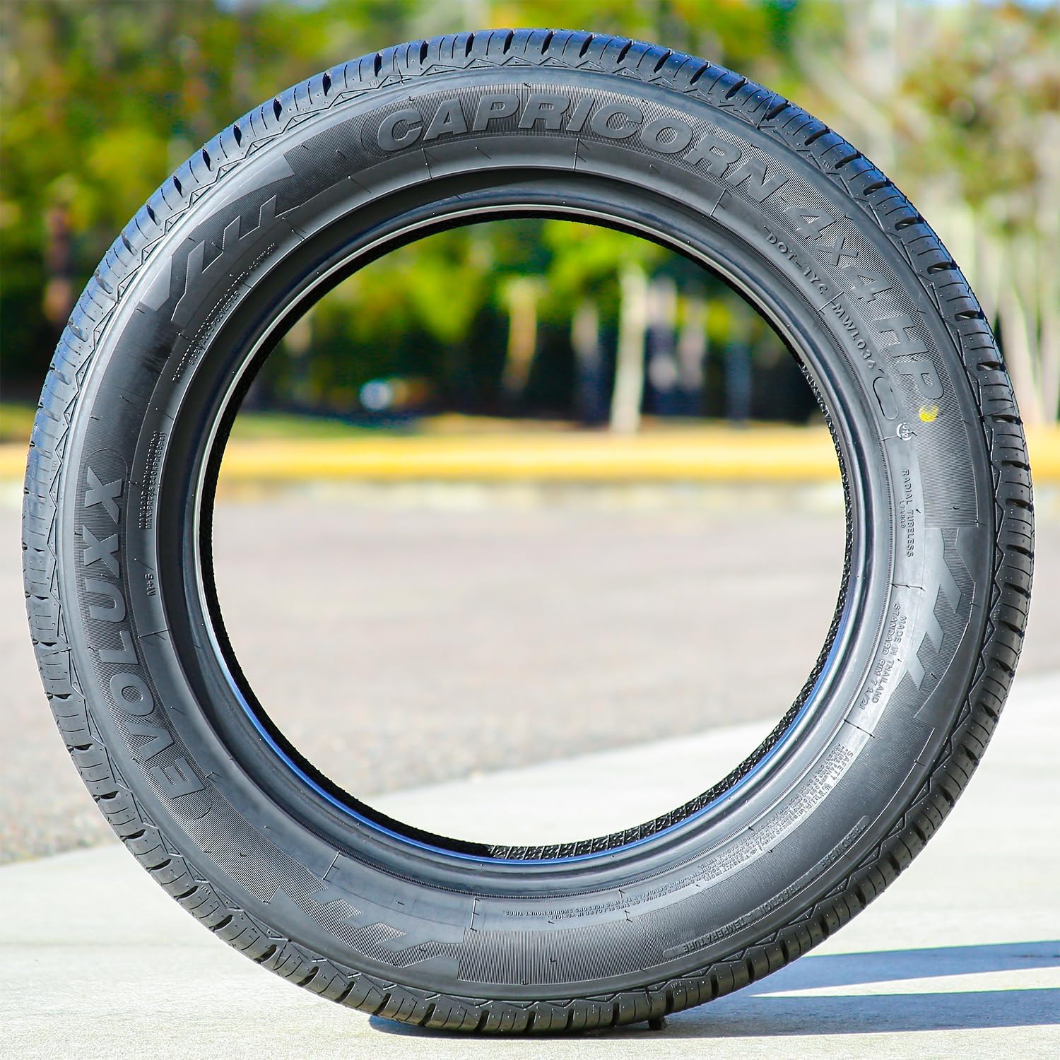 Unleash Performance: EVOLUXX Capricorn All-Season Tire Review