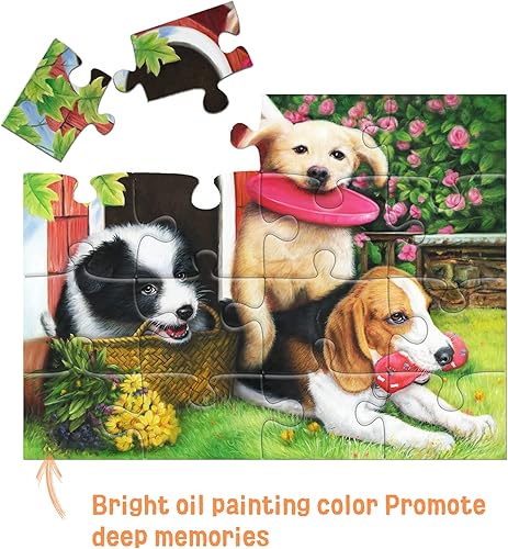 Miniatura 2 de Pitoies Rompecabezas de demencia de 16 piezas grandes, rompecabezas de actividades de demencia para personas mayores o pacientes de Alzheimer de