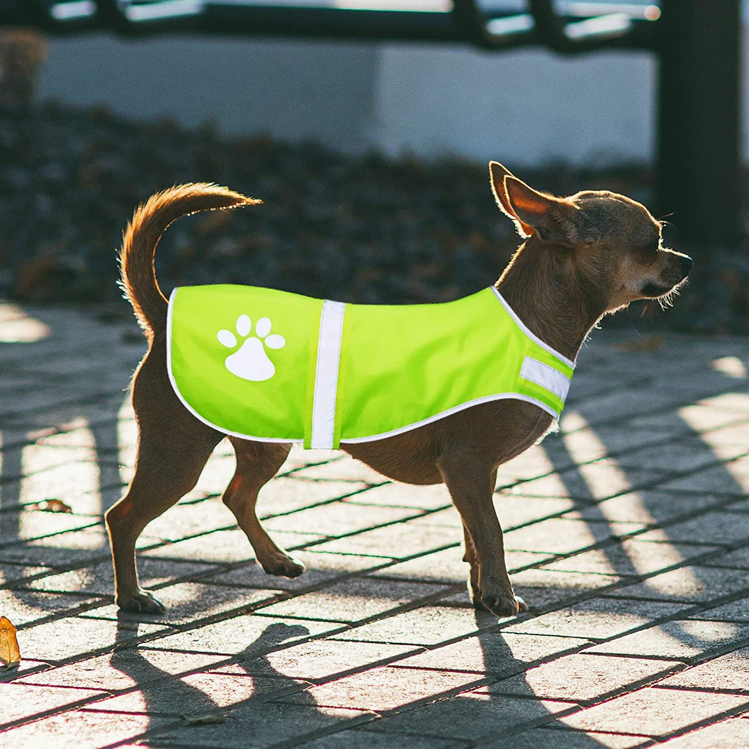 Haute Visibilité Sécurité Gilet pour Chien, Gilet de Sécurité Réfléchissant pour Chien, Premium Chien Gilet Réfléchissant, Protège Votre Chien des Voitures et des Accidents de Chasse