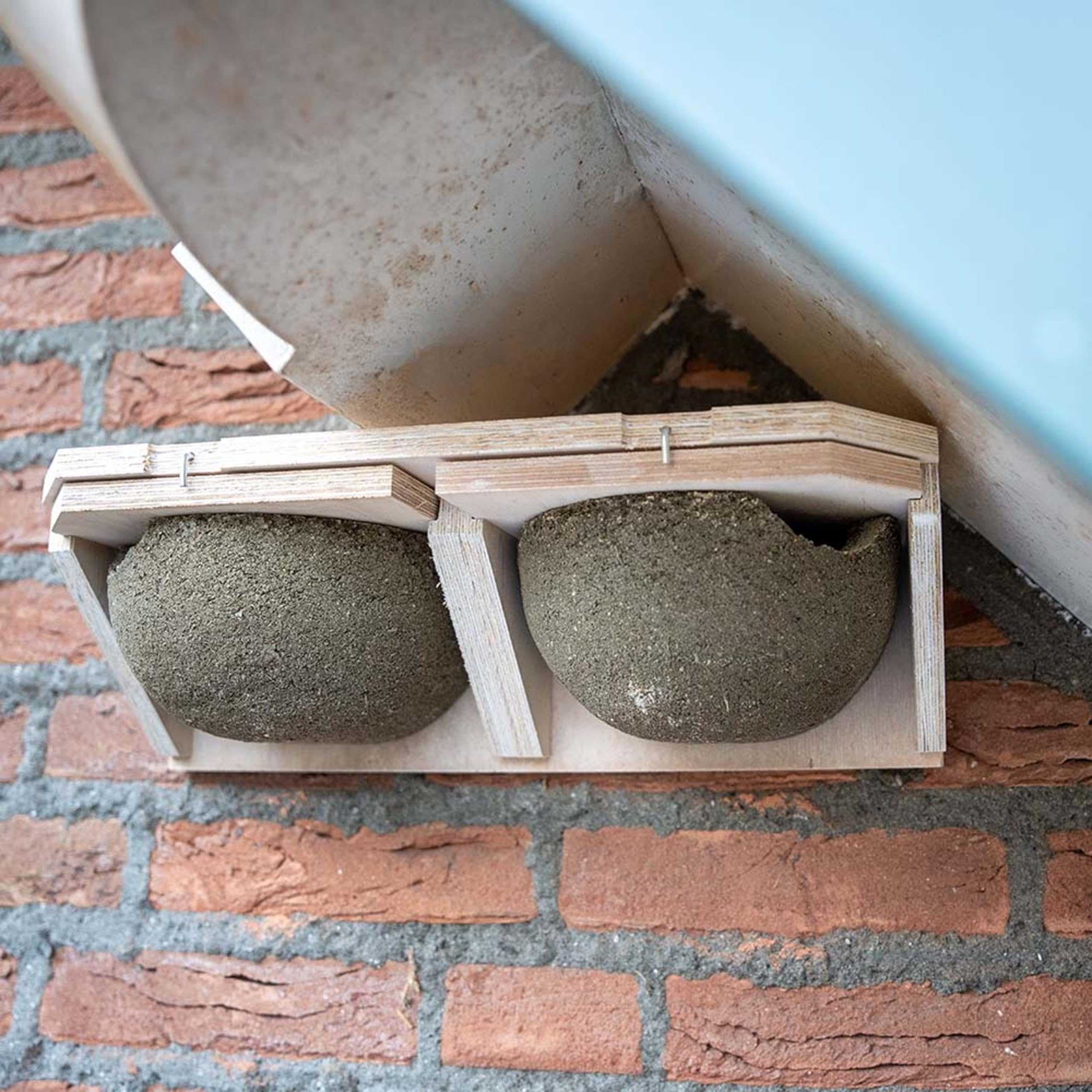 CJ Wildlife Nistkasten Mehlschwalbe – Nistkasten für Vögel für draußen wetterfest – Holz, Holzbeton, mit ausziehbarer Führungsschiene – 38 x 11 x 16 cm