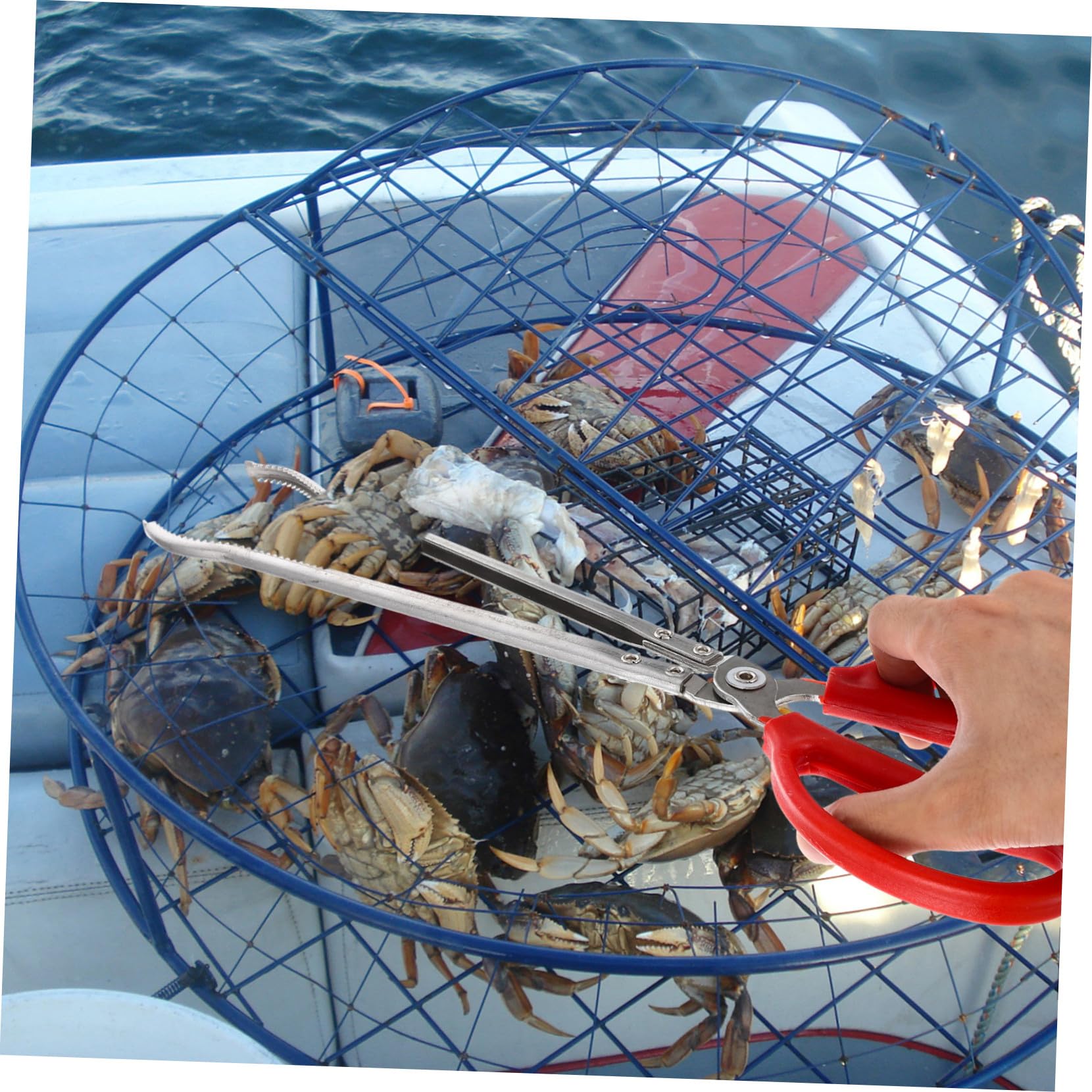 Pince à Crabes Portable en Acier Inoxydable, Légère et Antidérapante