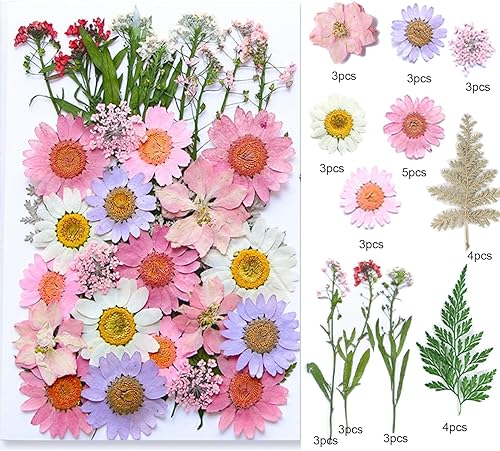 Miniatura 2 de 37 piezas de flores secas prensadas para resina, manualidades, manualidades, hierbas naturales, plantas secas, hojas, flores, joyas epoxi, hojas
