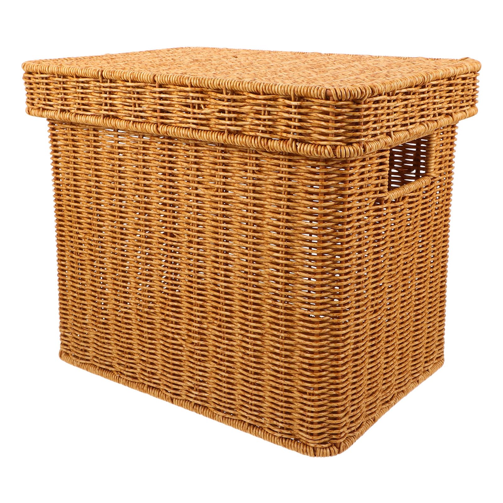SECFOU Scatola Archivio Effetto Rattan Marrone in Plastica con Coperchio