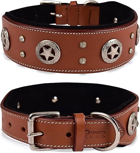 Miniatura 10 de DowgClub Collar de perro de cuero genuino de la serie Punk  Grano completo, grado de sillín resistente, lujoso, elegante, cómodo, mejor para razas