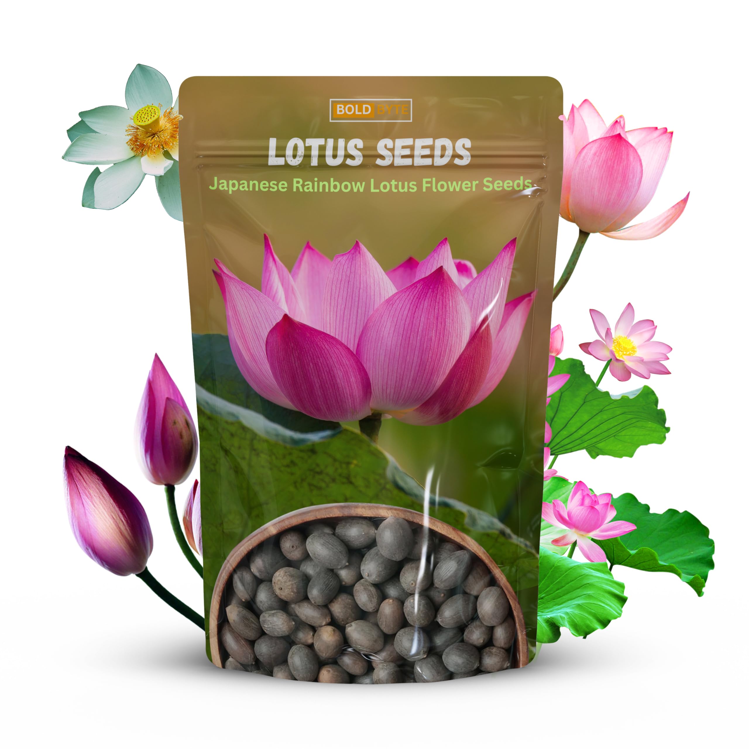 Lotus Seeds - Lotus Seed for Planting in Water | Japanese Rainbow Lotus Flower Seeds, All Season Water Garden Plant, Home and Balcony Growing (20 Pcs)